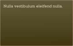 Nulla vestibulum eleifend nulla. 