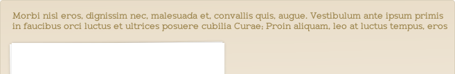 Morbi nisl eros, dignissim nec, malesuada et, convallis quis, augue. Vestibulum ante ipsum primis in faucibus orci luctus et ultrices posuere cubilia Curae; Proin aliquam, leo at luctus tempus, eros 