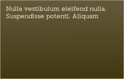 Nulla vestibulum eleifend nulla. Suspendisse potenti. Aliquam 